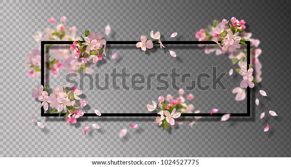 春の花を持つ抽象的な枠 春の桜の花 落ちる花びら ぼかした透明なエレメントのあるベクター画像の背景 のベクター画像素材 ロイヤリティフリー