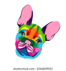 Abstract french bulldog head portrait from multicolored paints. Colored drawing. Puppy muzzle portrait, dog muzzle. Vector illustration of paints