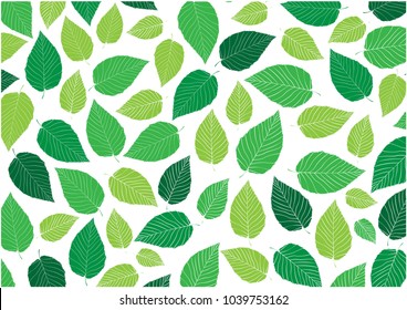 Abstract fresh green leaves pattern.