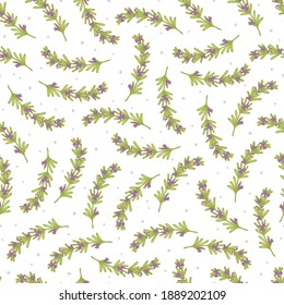 Abstract Fresh Rosemary Branch Vector Graphic Art Seamless Pattern can be used for Background and Apparel Design
