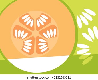 Abstract fruit design in flat cut out style. Cantaloupe melon cross section and seeds. Vector illustration.