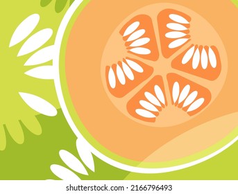 Abstract fruit design in flat cut out style. Cantaloupe melon cross section and seeds. Vector illustration.