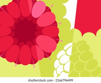 Abstract fruit design in flat cut out style. Close up of raspberry in cross section. Vector illustration.