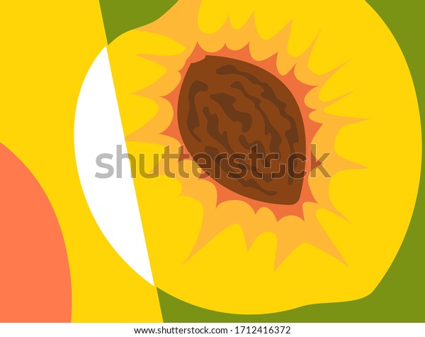 Abstract fruit wallpaper design in flat cut out style. Cross section of peach with pit. Dining Room Mural. 