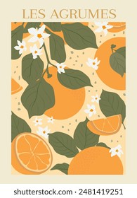 Abstract fruit poster. Modern trendy citrus fruits design for wall prints. Aesthetic vector illustration.