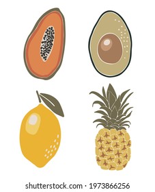 Abstract fruit set illustration, boho papaya, avocado, lemon and pineapple fruit vector, summer tropical fruits collection 
