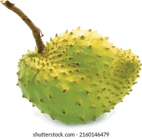 Frutos abstractos del árbol de Soursop o de la manzana de Custaza Rápida. (Nombre científico Annona muricata L.)