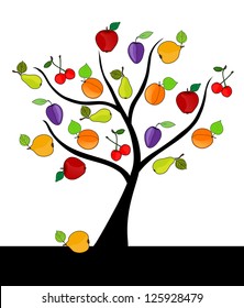 abstract fruit tree with apples, cherries, plums, quinces and apricots