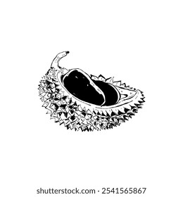 Abstract fruits vector black ink . Modern trendyи minimal style. Exotic Healthy Food. Hand drawn design for wallpaper, wall decor, print, postcard, cover, template, banner.