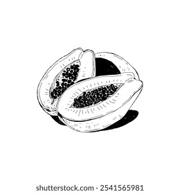 Abstract fruits vector black ink . Modern trendyи minimal style. Exotic Healthy Food. Hand drawn design for wallpaper, wall decor, print, postcard, cover, template, banner.
