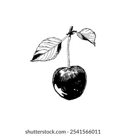 Abstract fruits vector black ink . Modern trendyи minimal style. Exotic Healthy Food. Hand drawn design for wallpaper, wall decor, print, postcard, cover, template, banner.