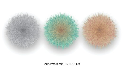 けむくじゃら Hd Stock Images Shutterstock