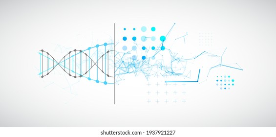 shutterstock