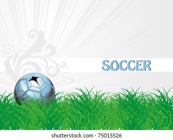 abstract garden background with isolated soccer, vector illustration