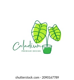 abstract garden plant caladium logo symbol icon vector graphic design illustration idea creative 