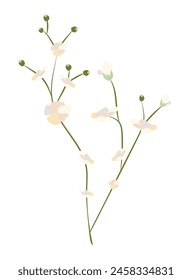Abstract gentle flowers on twig in flat design. Softness blossom bouquet. Vector illustration isolated.