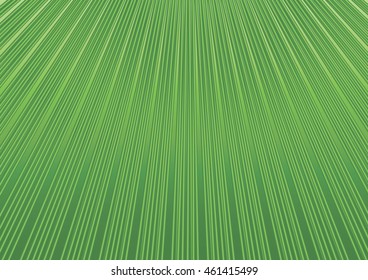 Abstract geometric background with diagonal green lines Floral structure grid stripped pattern