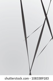 Abstract geometric background. Installed isolated lines. The effect of motion for your design. Black lines on a white background.Dinamic lines or rays.Vector.EPS10