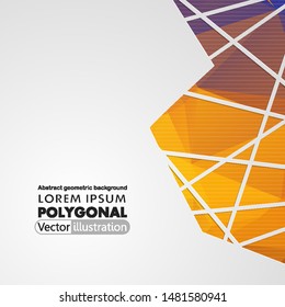 Abstract geometric background with polygons. Info graphics composition with geometric shapes.Retro label design. Vector illustration for business presentation