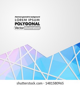 Abstract geometric background with polygons. Info graphics composition with geometric shapes.Retro label design. Vector illustration for business presentation