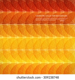 Abstract geometric background with polygons. Info graphics composition with geometric shapes.Retro label design. Vector illustration for business presentation