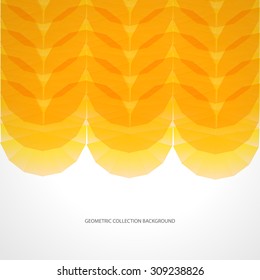 Abstract geometric background with polygons. Info graphics composition with geometric shapes.Retro label design. Vector illustration for business presentation