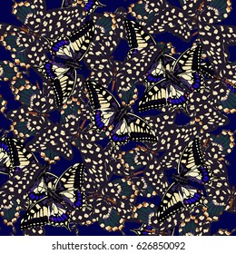 Abstract geometric butterfly pattern wings. Tropical exotic insects