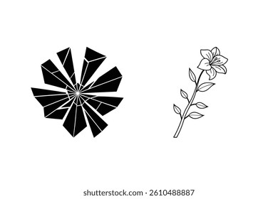 Abstract Geometric Flower And Burst Design In Minimal Black And White Style