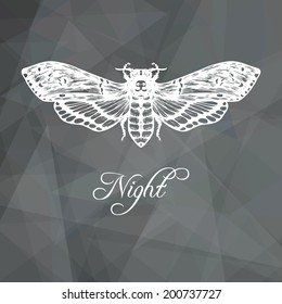 Abstract geometric gray background with butterfly