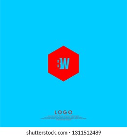 abstract geometric hexagon BW logo letters design concept in shadow shape