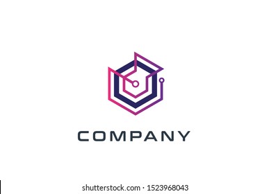 Abstract geometric hexagon technology logo design vector template with network connection line