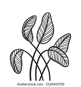 Abstract geometric minimalist wall art composition of tropical leaves. Rough hand drawn lines, black palm leaves. Wall art composition. Outline vector illustration.