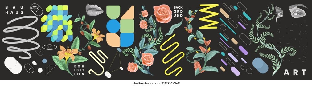 Abstract geometric objects, tropical plants. Set of elements for design. Vector illustrations. Bauhaus style and floral elements. 