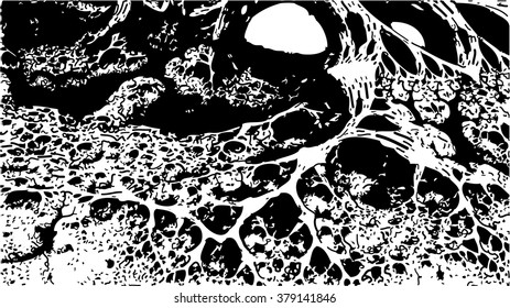 Abstract geometric pattern formed by a complex fractal structure
