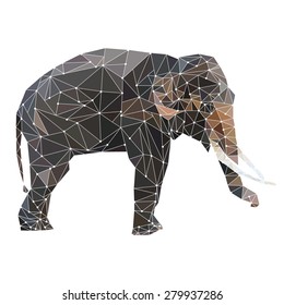 abstract geometric polygon elephant isolated on white background vector