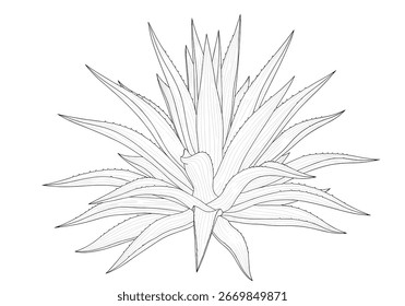 Abstract geometric starburst pattern with delicate leafy accents digital design