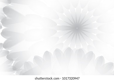 Abstract geometric white and gray color background. Vector, illustration.