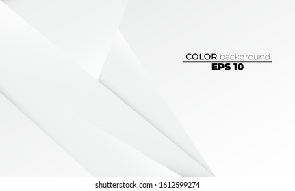 Abstract geometric white and gray color Visual Supply Company background for gift card,  Poster on wall poster template,  landing page, ui, ux ,coverbook,  baner, social media posted