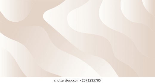 Abstract geometric white and gray color white background with dynamic curve line elegant graphic design element decoration modern abstrack