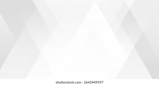 Abstract geometric white gray color monochrome vector background design brochure website flyer wallpaper certificate presentation landing page 