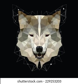 abstract geometric wolf head  isolated on a black background, vector illustration 