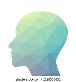 abstract geometrical pattern inside human head, vector