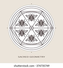 Abstract geometry pattern with graphic symbols of ancient cultures in vector. Sacred geometric background with linear graphic shapes elements of spirituality sciences and outline bees in honey combs