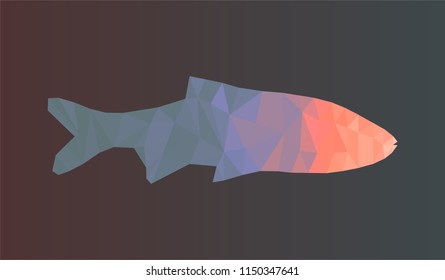 Abstract geometry polygonal fish, low poly vector illustration