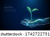 growing plant vector