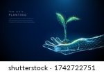 Abstract giving hand with young plant in soil. Low poly style design. Blue geometric background. Wireframe light connection structure. Modern 3d graphic concept. Isolated vector illustration.