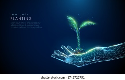 Abstrakt Hand mit jungen Pflanzen im Boden. Geringe Poly-Bauweise. Blauer geometrischer Hintergrund. Struktur der drahtgebundenen Lichtverbindung. Modernes 3D-Grafikkonzept. Isolierte Vektorgrafik.
