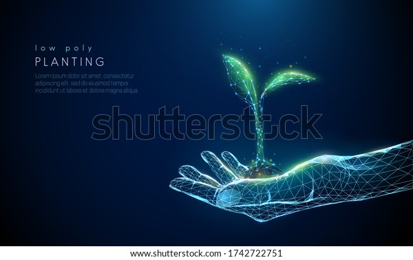 Abstract giving hand with young plant in\
soil. Low poly style design. Blue geometric background. Wireframe\
light connection structure. Modern 3d graphic concept. Isolated\
vector illustration.