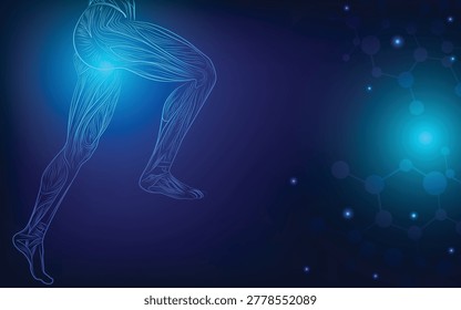 Abstract glowing human leg muscle anatomy illustration with futuristic medical technology background, sports medicine concept, and healthcare science visualization.