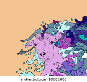 Abstract goat vector image with purple color combination